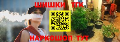 тгк Лесосибирск