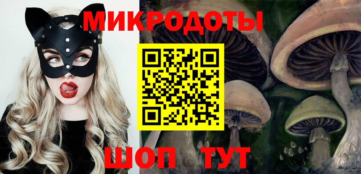 Галлюциногенные грибы Psilocybine cubensis  Вход с VPN  Губкин  Галлюциногенные грибы мухоморы 